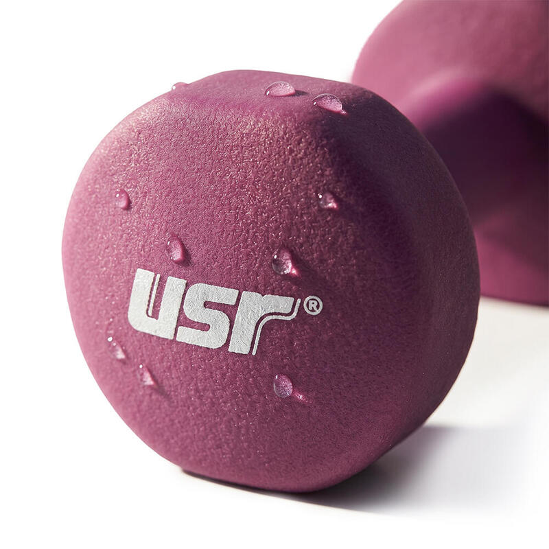 USR ND100 10 Kg Stüdyo Dambıl 1 Adet