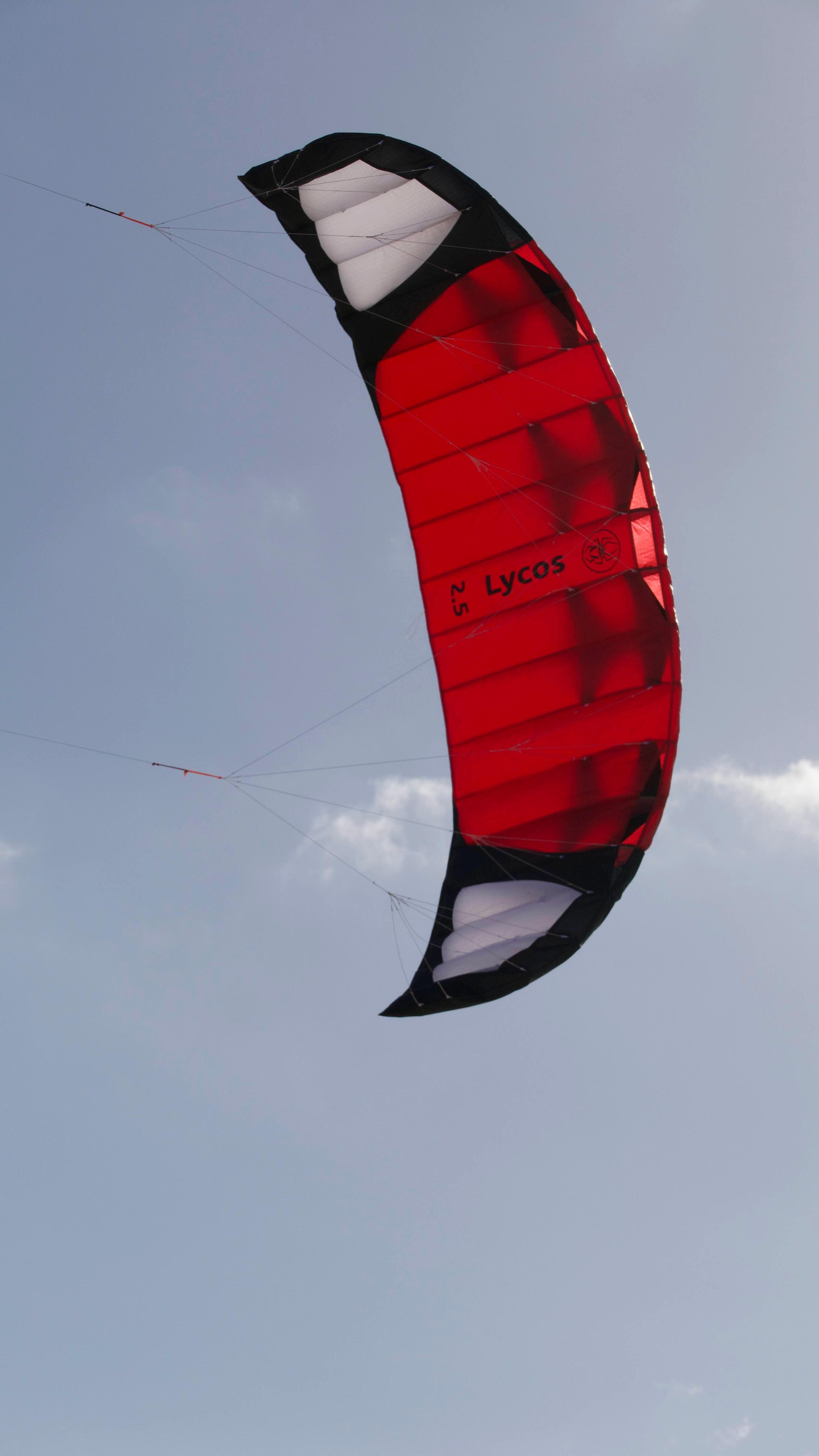 SPIDERKITES picture