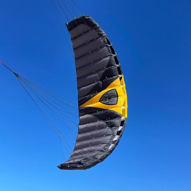 Lenkmatten Spiderkites Wasabi 2.8 10628 Schwartz 280 x 82 cm 5/7