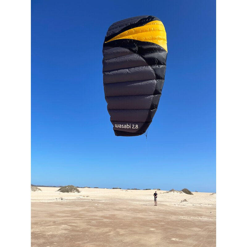 Lenkmatten Spiderkites Wasabi 2.8 10628 Schwartz 280 x 82 cm 7/7