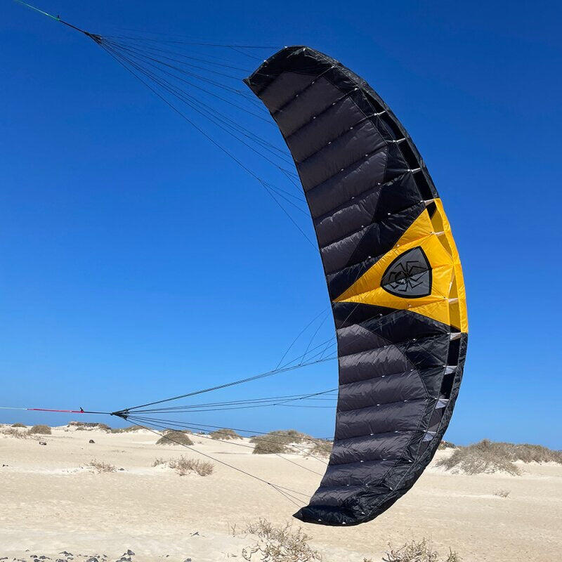 Lenkmatten Spiderkites Wasabi 2.8 10628 Schwartz 280 x 82 cm 4/7