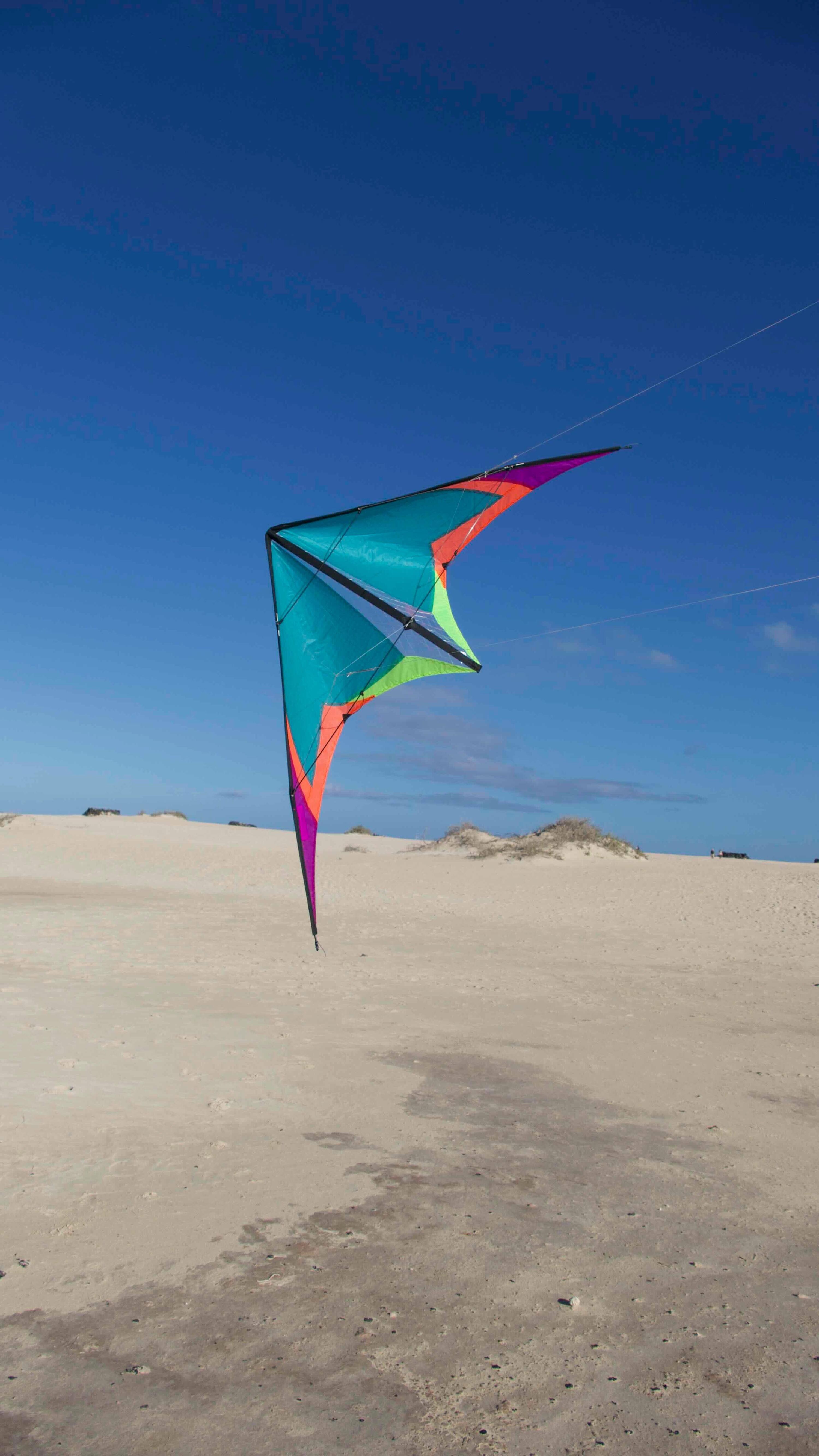 SPIDERKITES picture