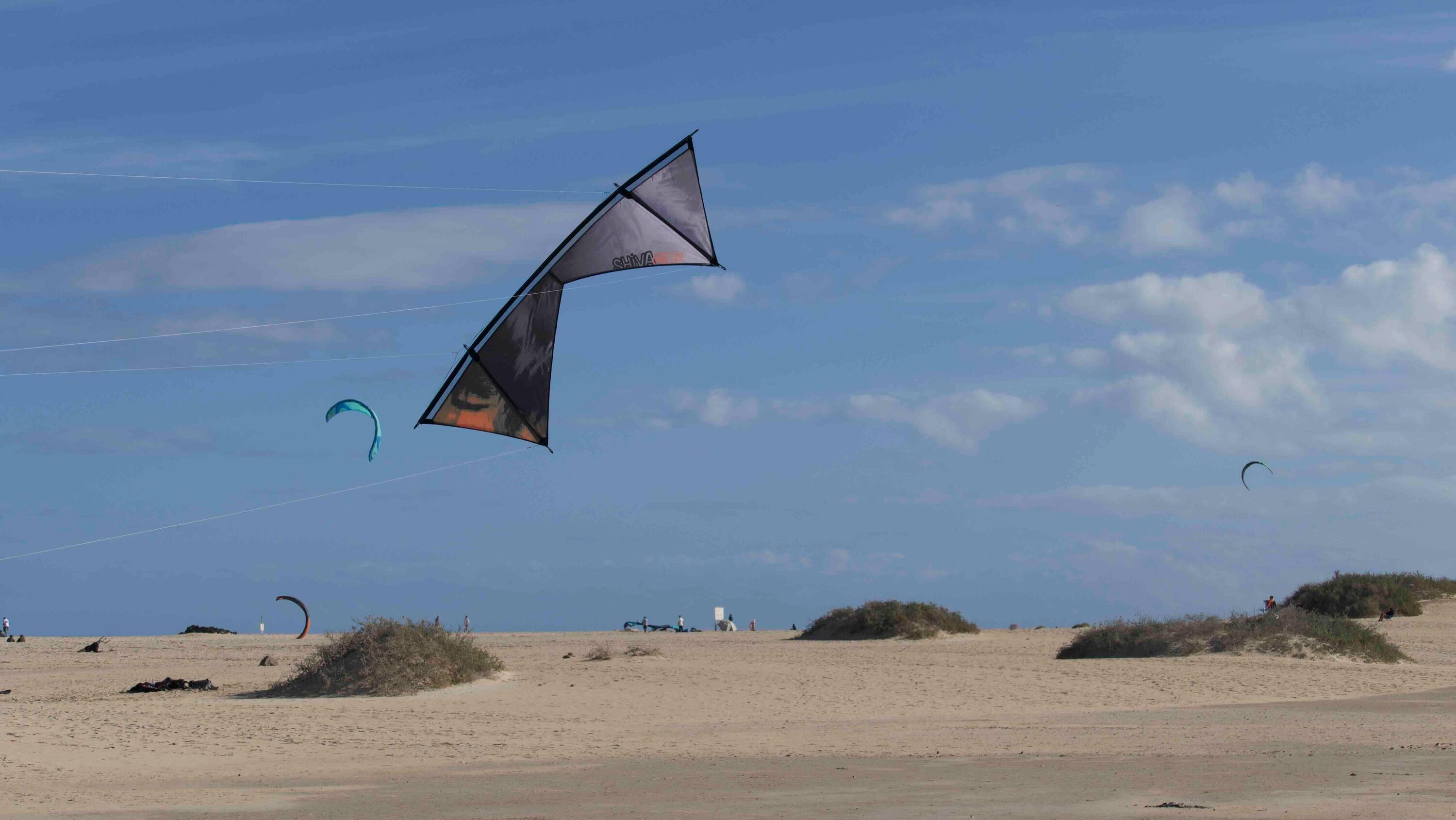 Aquilone acrobatico Spiderkites Shiva Core Nightfall 20037 Nero 228 x 78 cm 6/7
