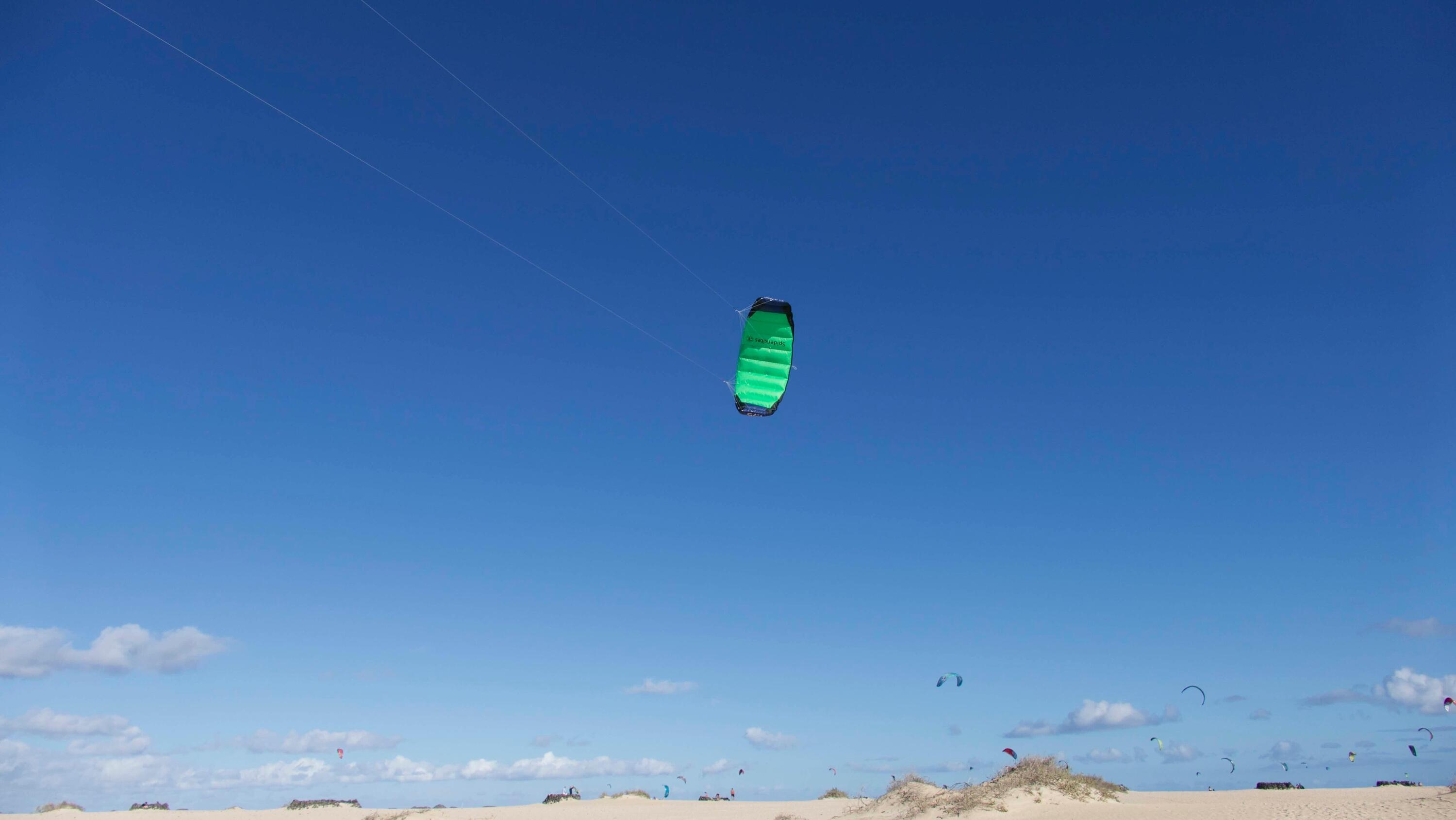 Lenkmatten Spiderkites Amigo DC 1.75 + bar 10056 Grün 175 x 61 cm 5/7