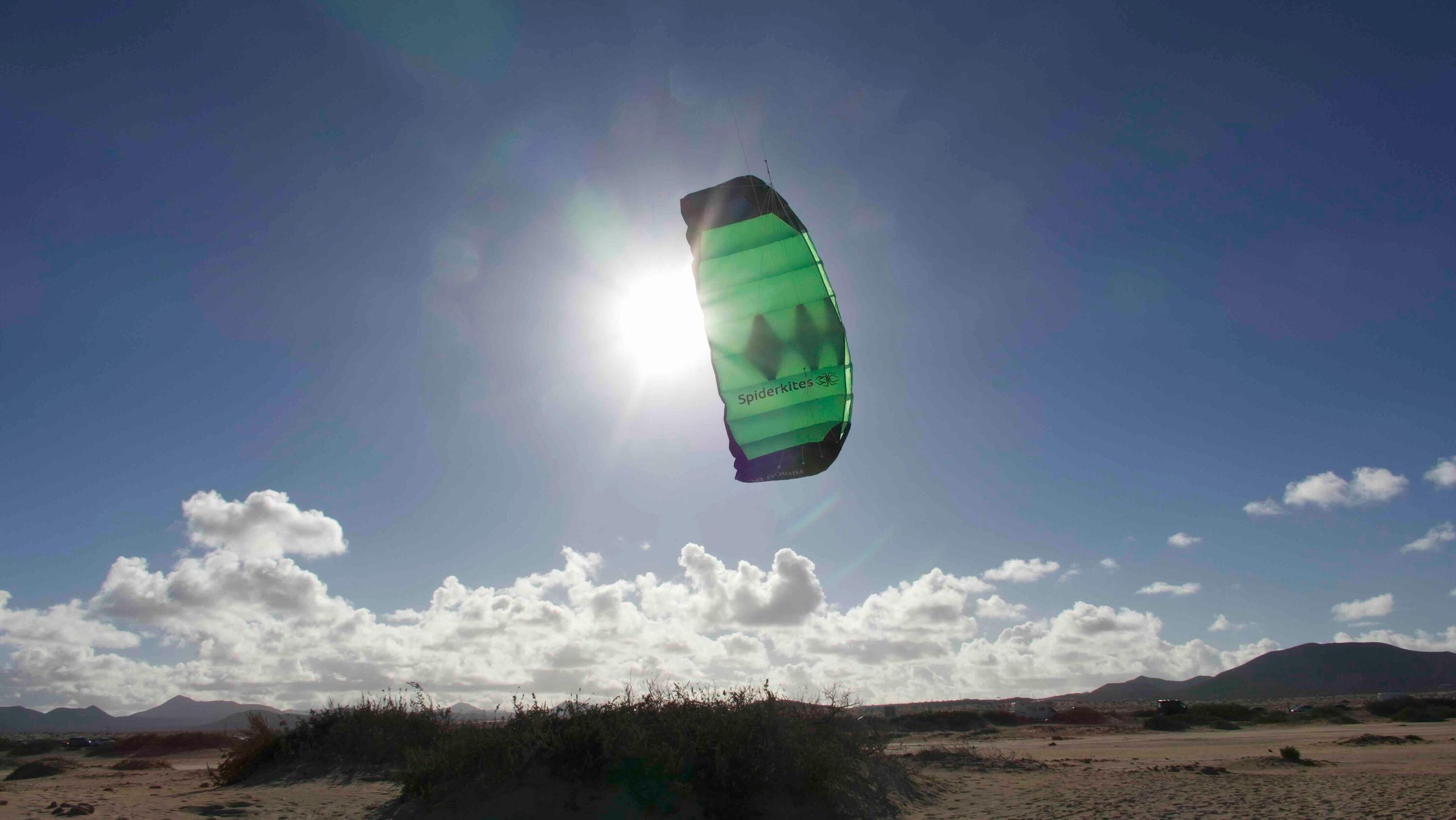 Lenkmatten Spiderkites Amigo DC 1.75 + bar 10056 Grün 175 x 61 cm 7/7