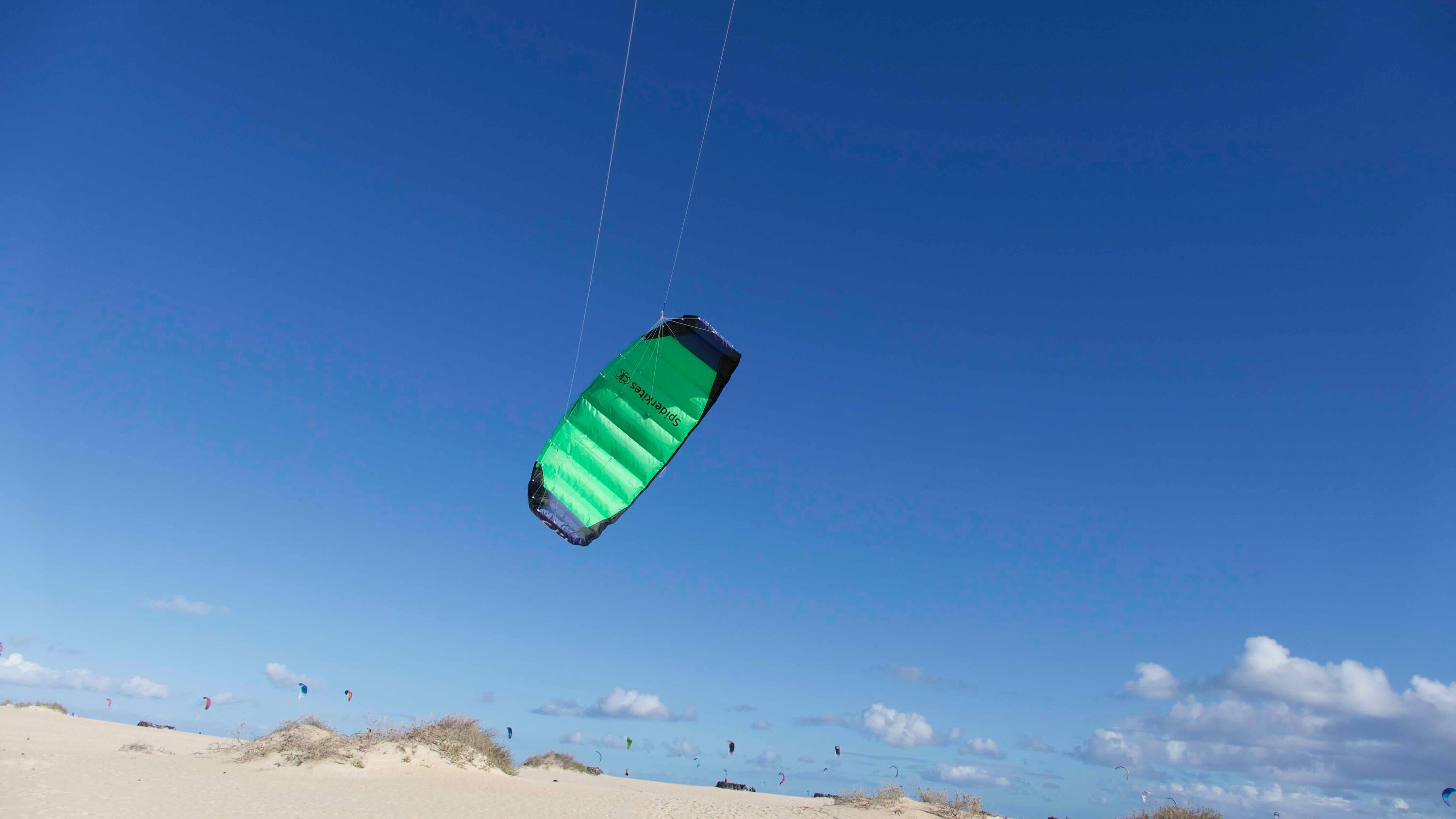 Lenkmatten Spiderkites Amigo DC 1.75 + bar 10056 Grün 175 x 61 cm 4/7