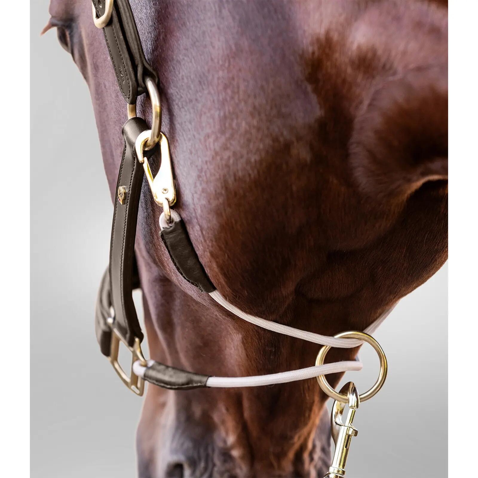 Cabestro de cuero para caballos Waldhausen S-Line Royal 3/5