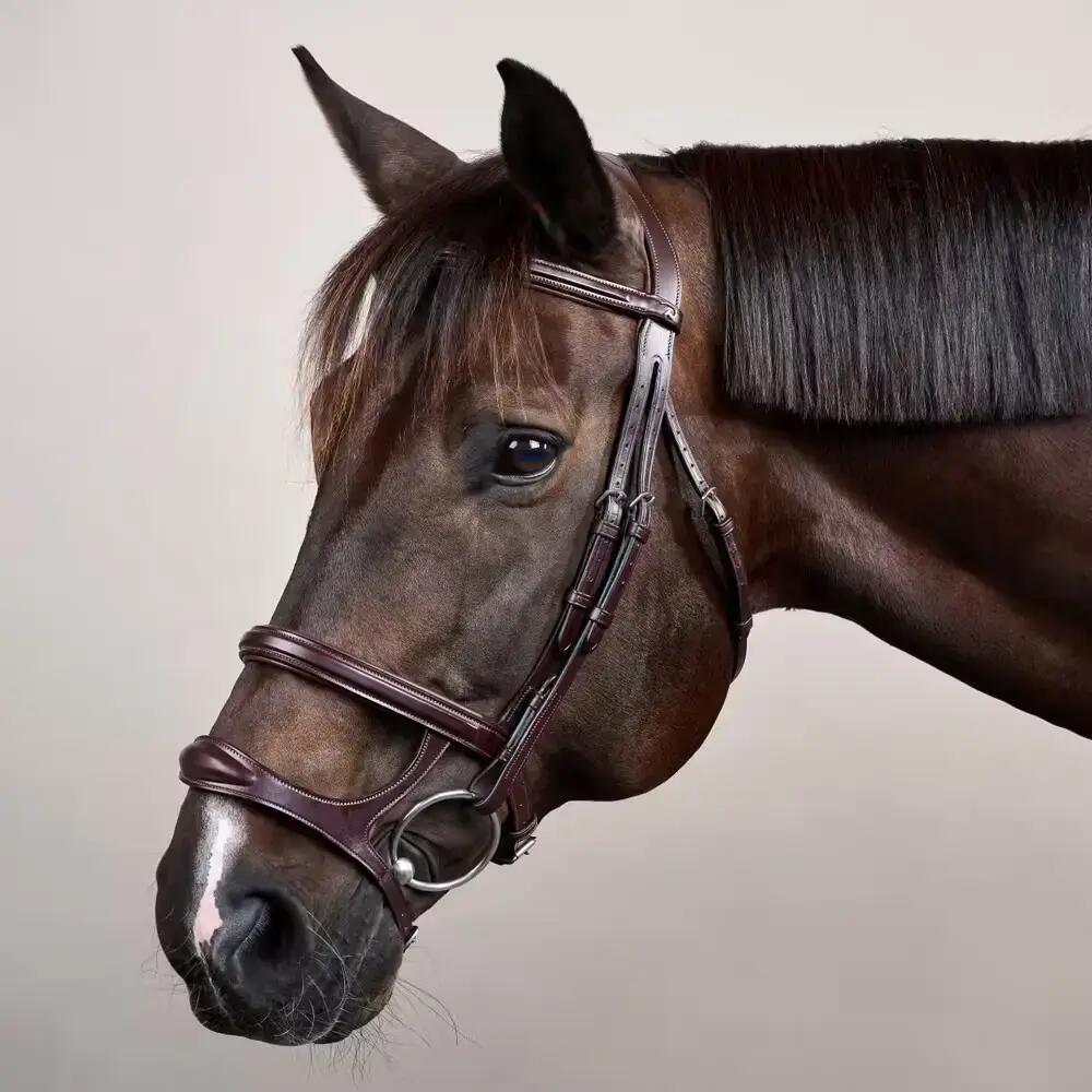 Bridon équitation muserolle combinée Dy'on New English Collection 3/5