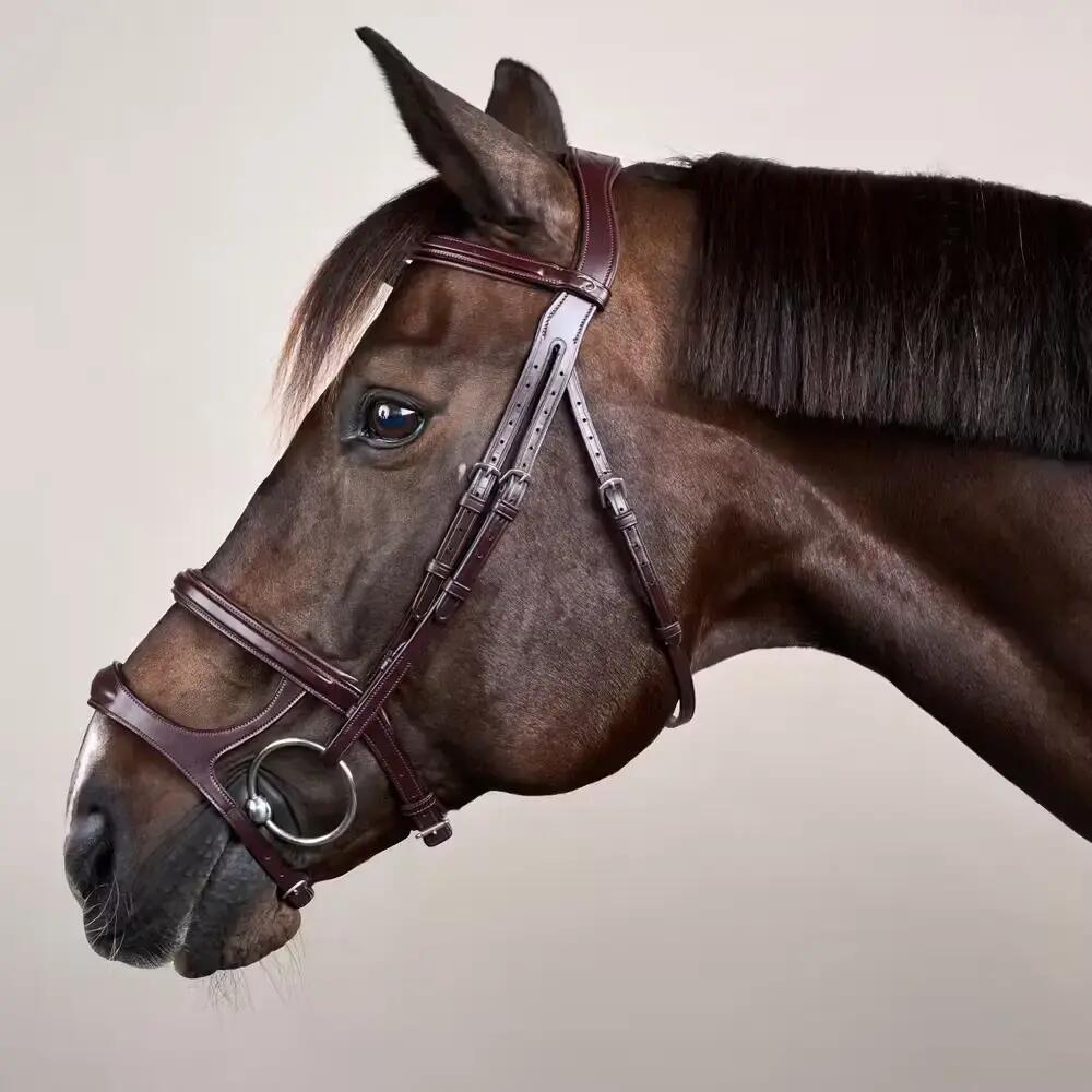 Bridon équitation muserolle combinée Dy'on New English Collection 2/5