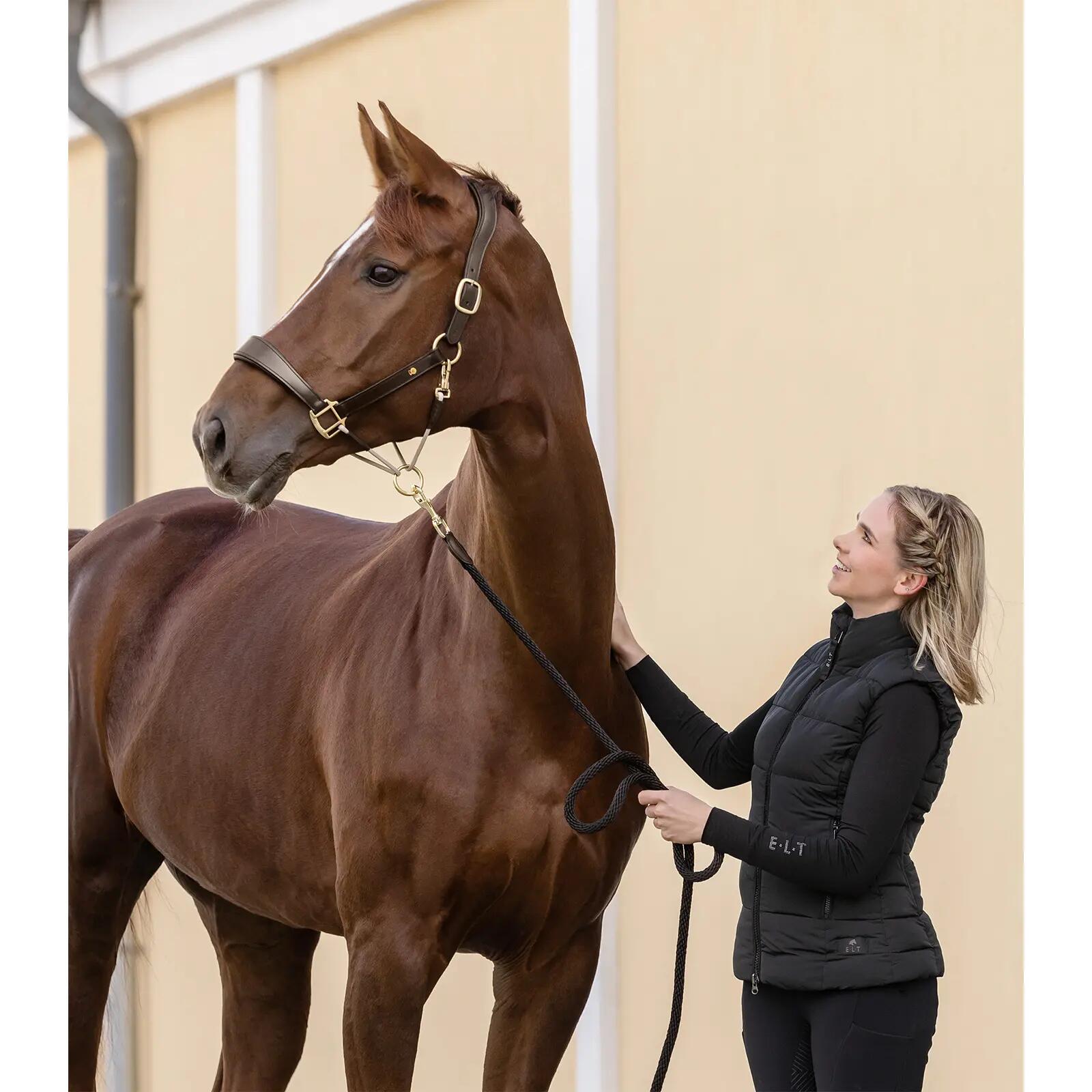 Cabestro de cuero para caballos Waldhausen S-Line Royal 5/5