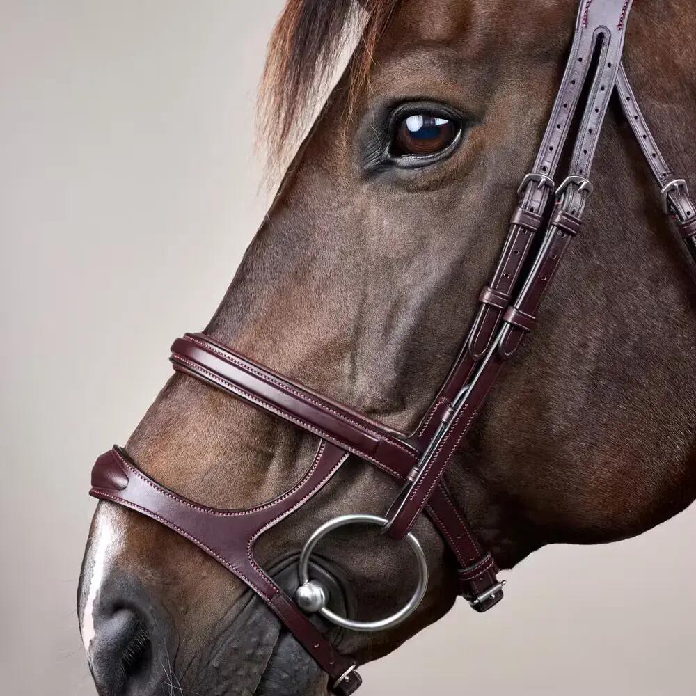 Bridon équitation muserolle combinée Dy'on New English Collection 5/5