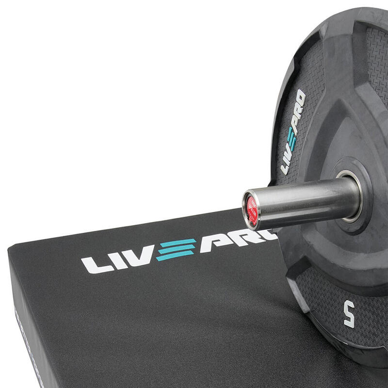 Livepro LP8320 Bar Tablası