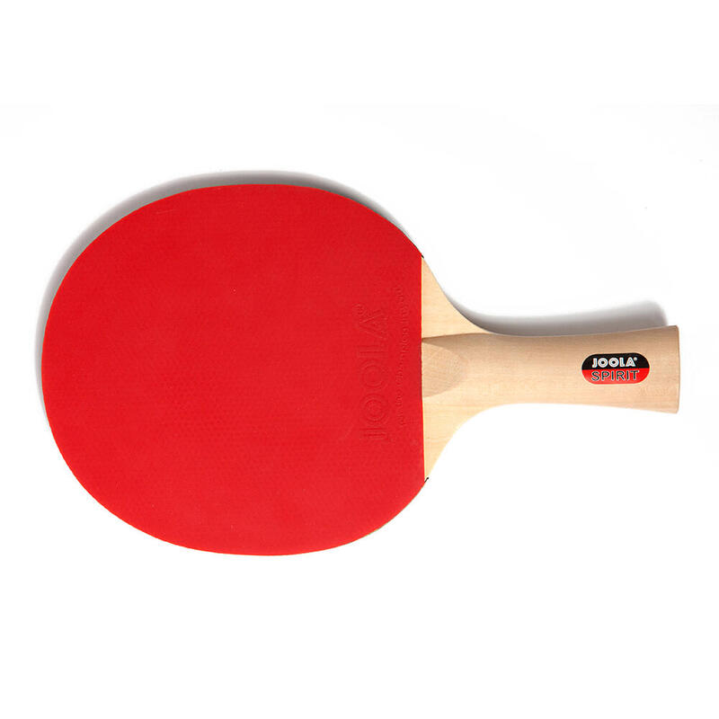 Joola Family Masa Tenisi 4 Raket + 10 Top Set