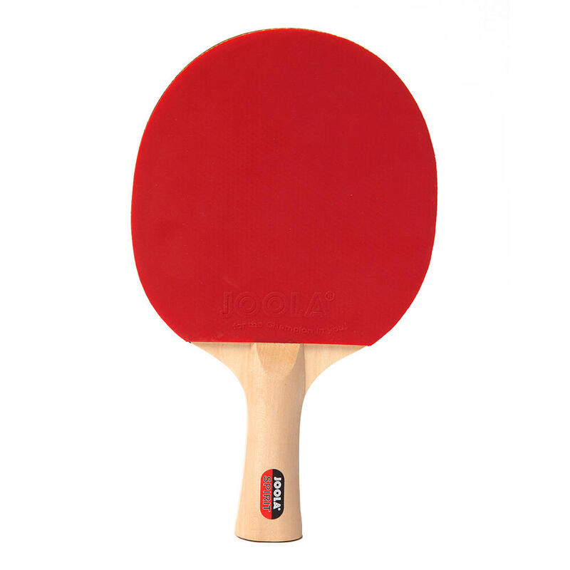 Joola Family Masa Tenisi 4 Raket + 10 Top Set