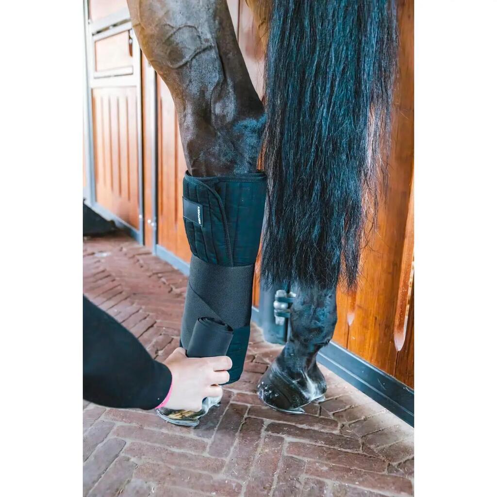 Resting belts for horses Kentucky