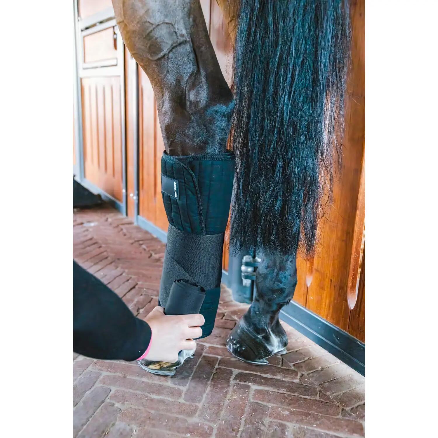 KENTUCKY HORSEWEAR picture