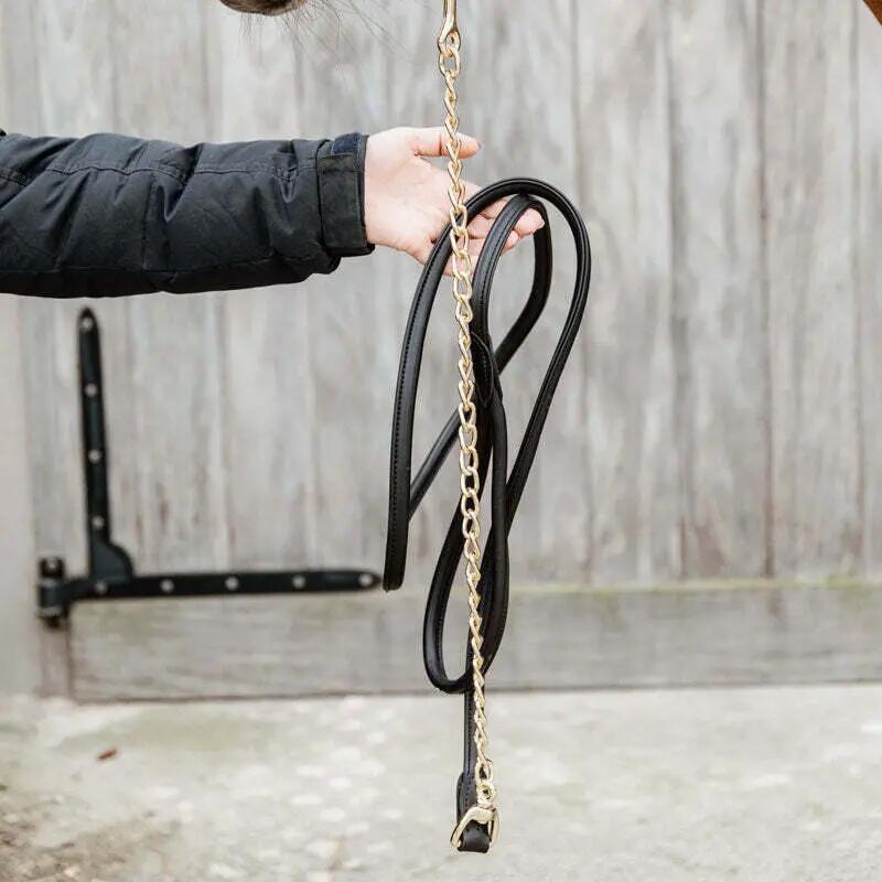 Longe Reiten für Präsentationspferd Leder Kentucky 2/3