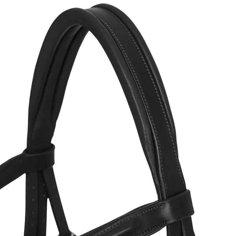 Hoofdstel voor paarden LeMieux Arika Flash 3/7