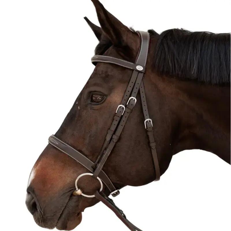 Engels gecombineerd rijhalster met anatomische neusriem Dy'on Hunter 2/3