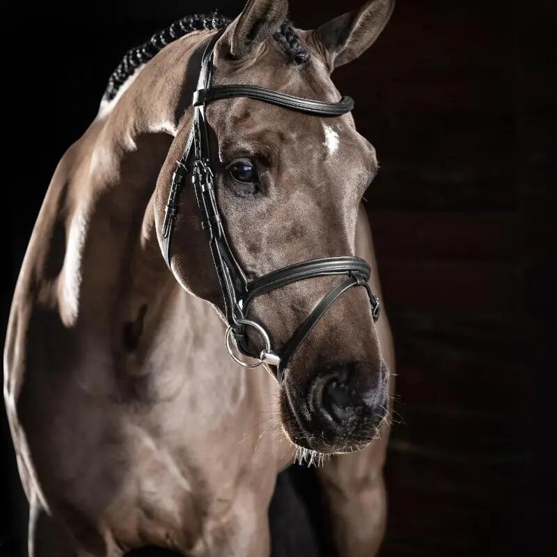 Hoofdstel voor paarden LeMieux Arika Flash 2/7