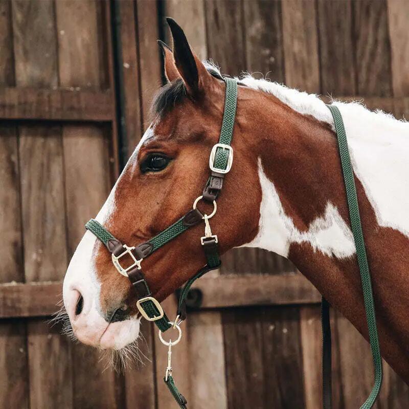 Gevlochten Nylon halster olive green Cob 2/4
