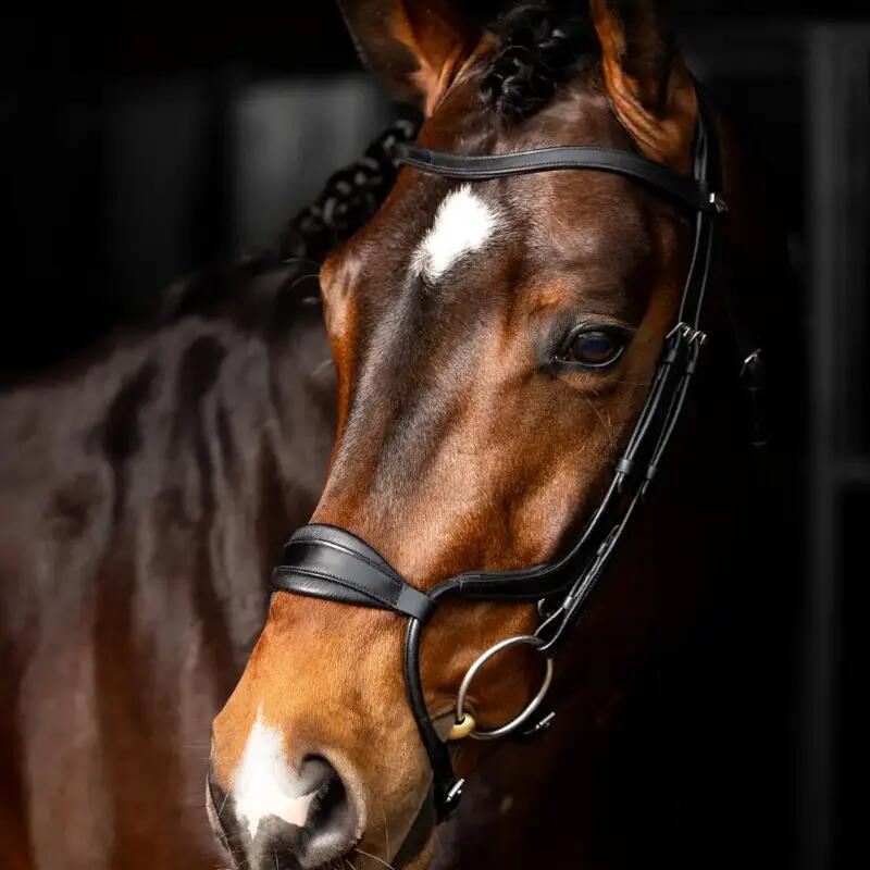 Anatomisch verstelbare paardenhalster met neusriem LeMieux Arika 3/3