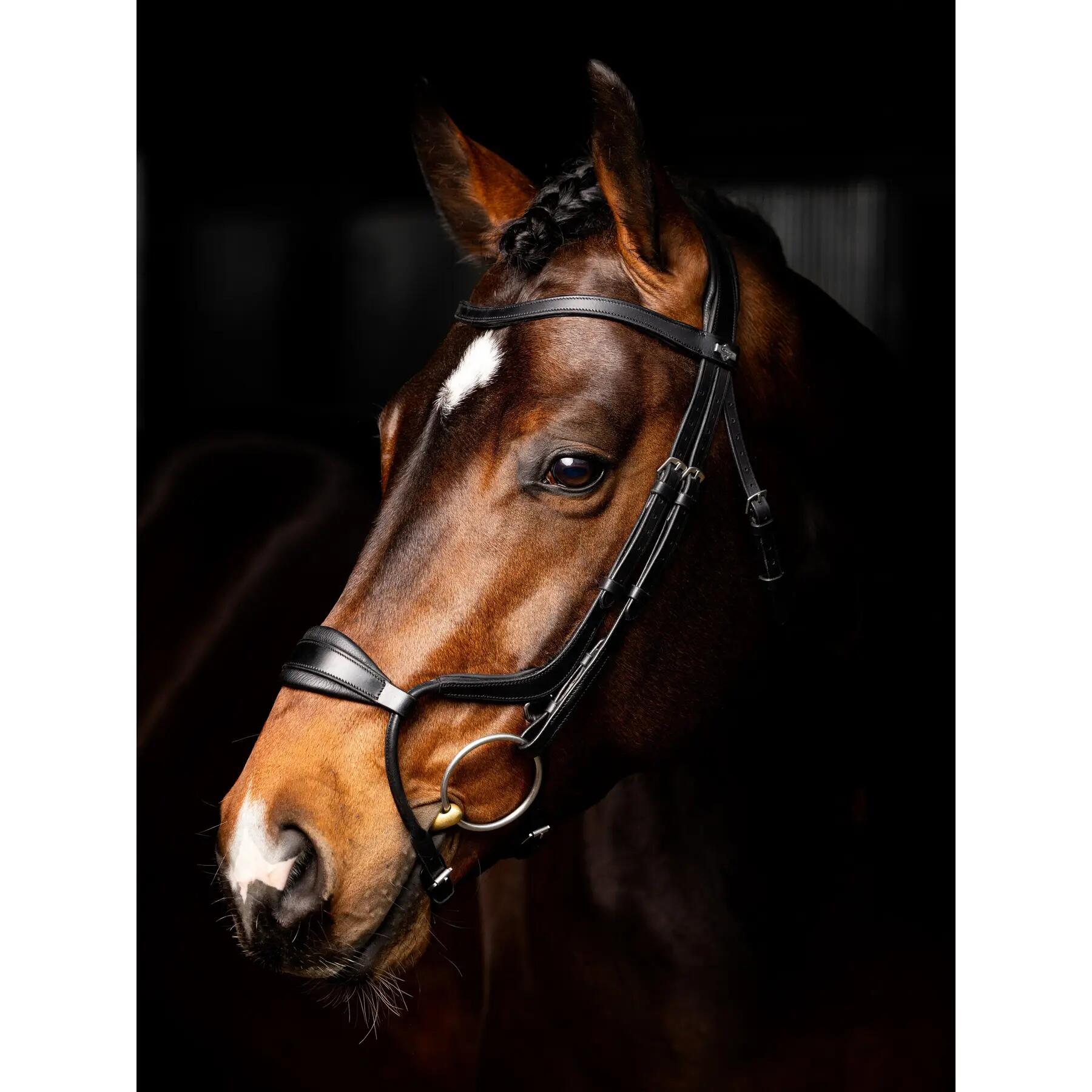 Anatomisch verstelbare paardenhalster met neusriem LeMieux Arika 2/3