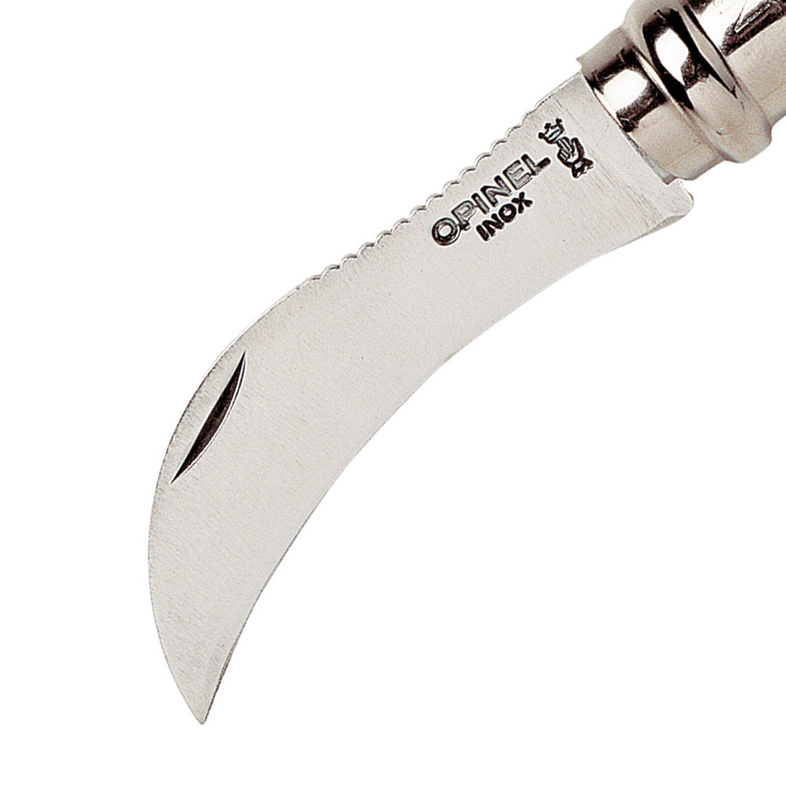 Pilzmesser + Etui Taschenmesser Schwammerl Klappmesser Pilz Bürste Eiche 2/5