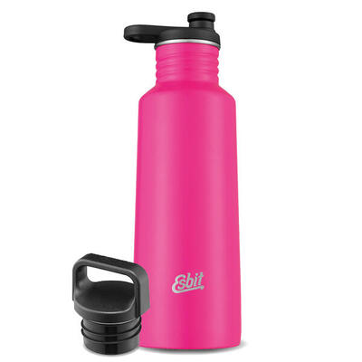 Sport drinkfles pictor sportfles fiets bidon roestvrij staal