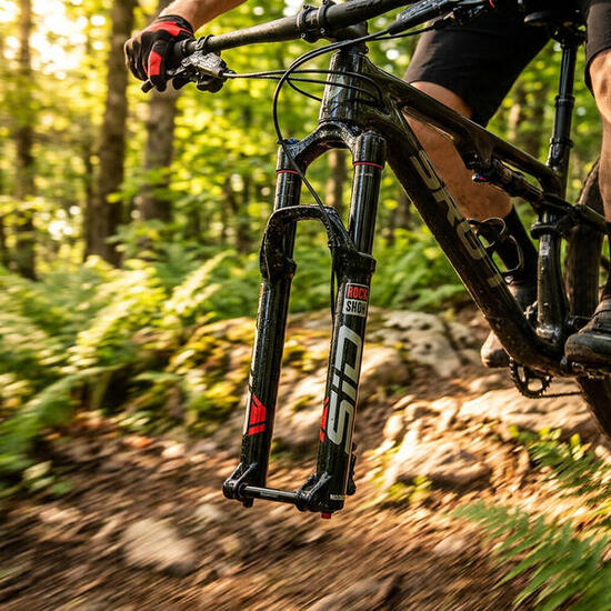 Ensemble d'amortisseur Rockshox RMT 3P Cartidge 100