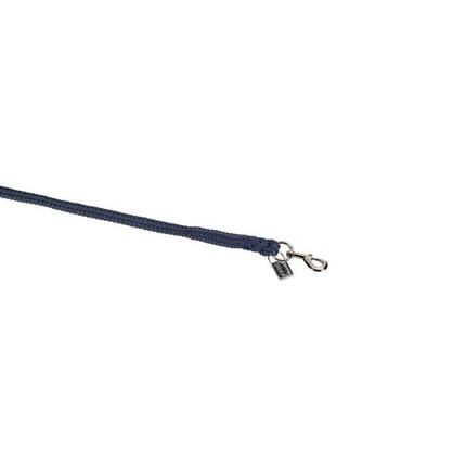 Longe Reiten Eskadron KH Silver (x5)