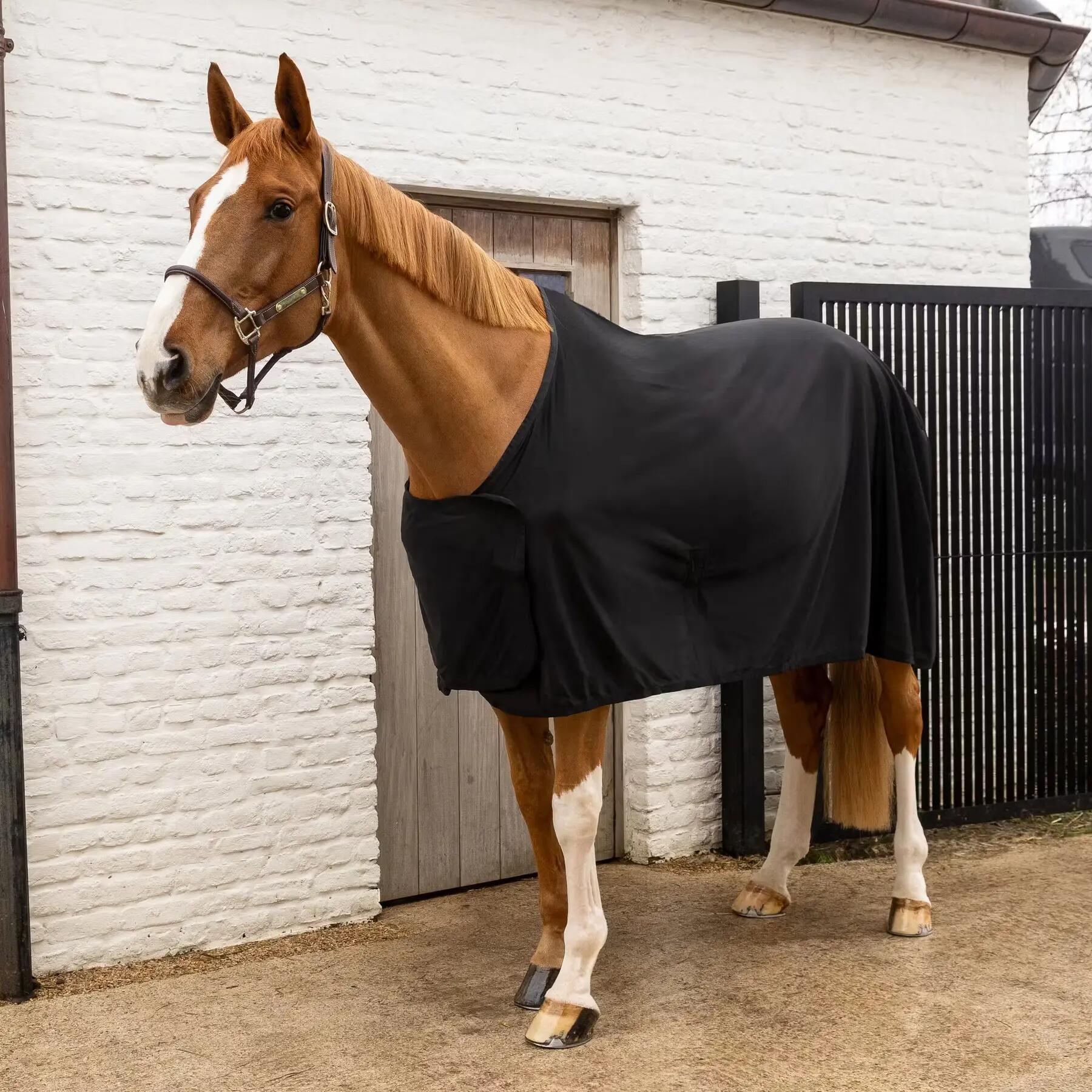 Copertura estiva anti-insetti per cavallo Kentucky Horsewear 2/5