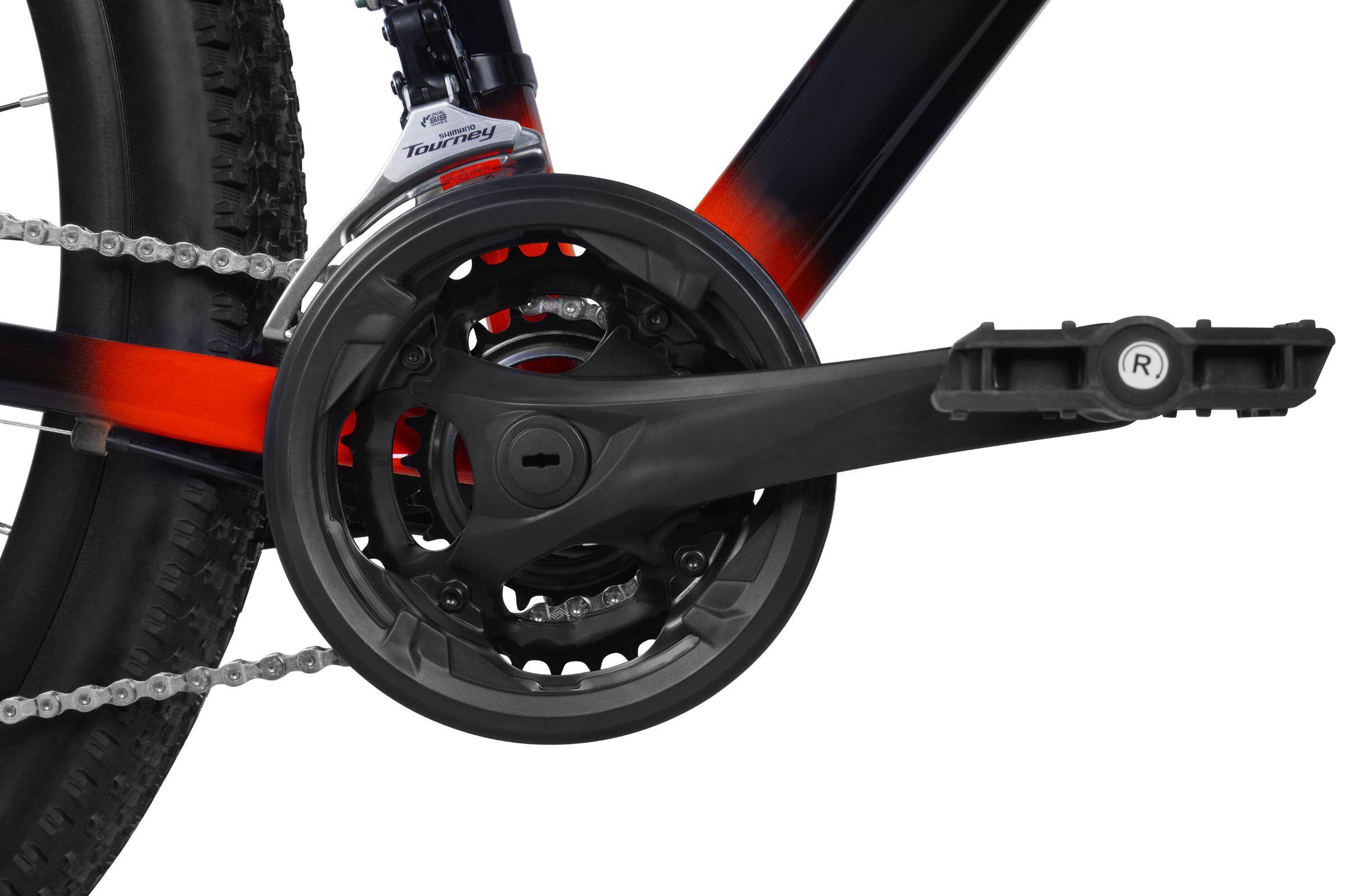 MTB 29
