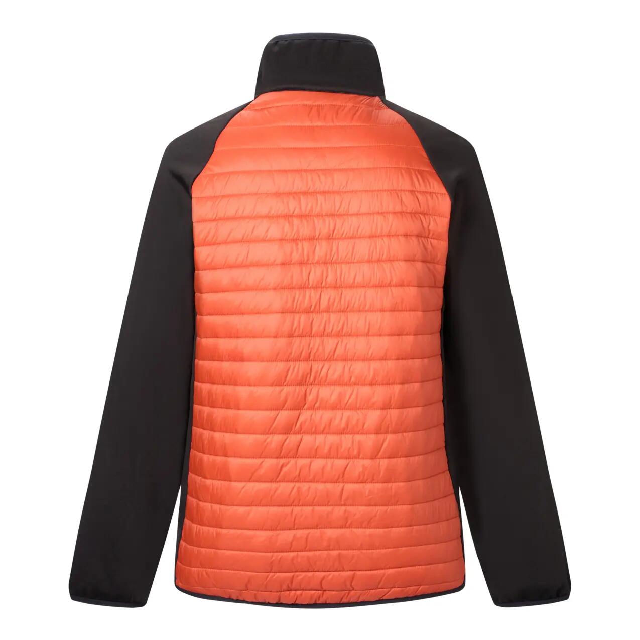 Veste hybride Regatta Clumber 2/4