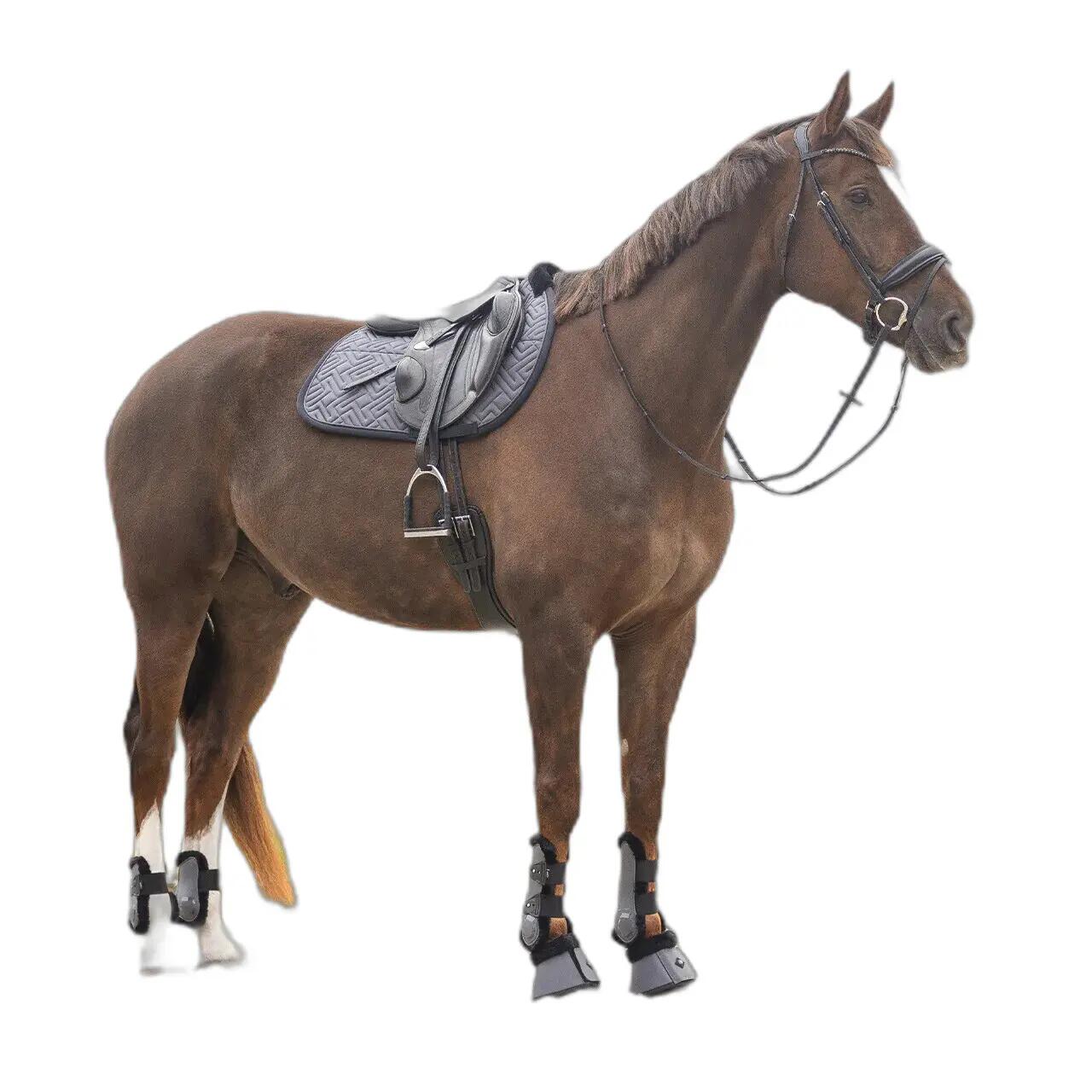 Flettenti di cavallo QHP Sensisoft 3/4