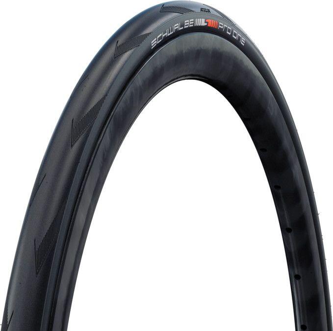 SCHWALBE picture