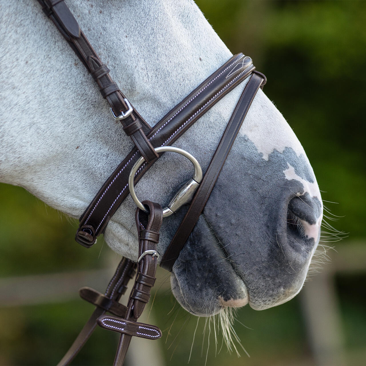 Bridons équitation avec surpiqûres décoratives QHP 5/7