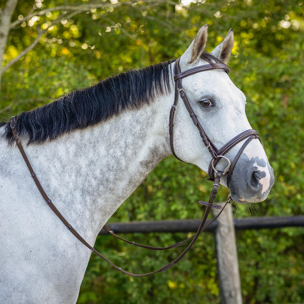 Bridons équitation avec surpiqûres décoratives QHP 4/7