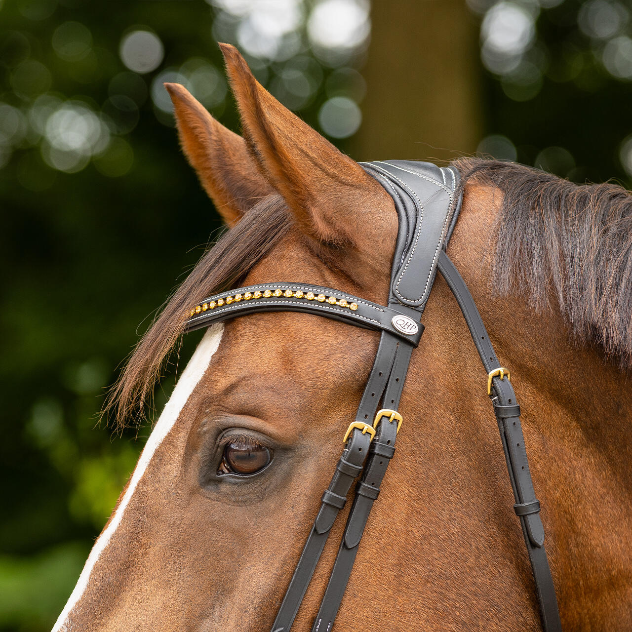 Briglie da equitazione QHP Devi 4/7