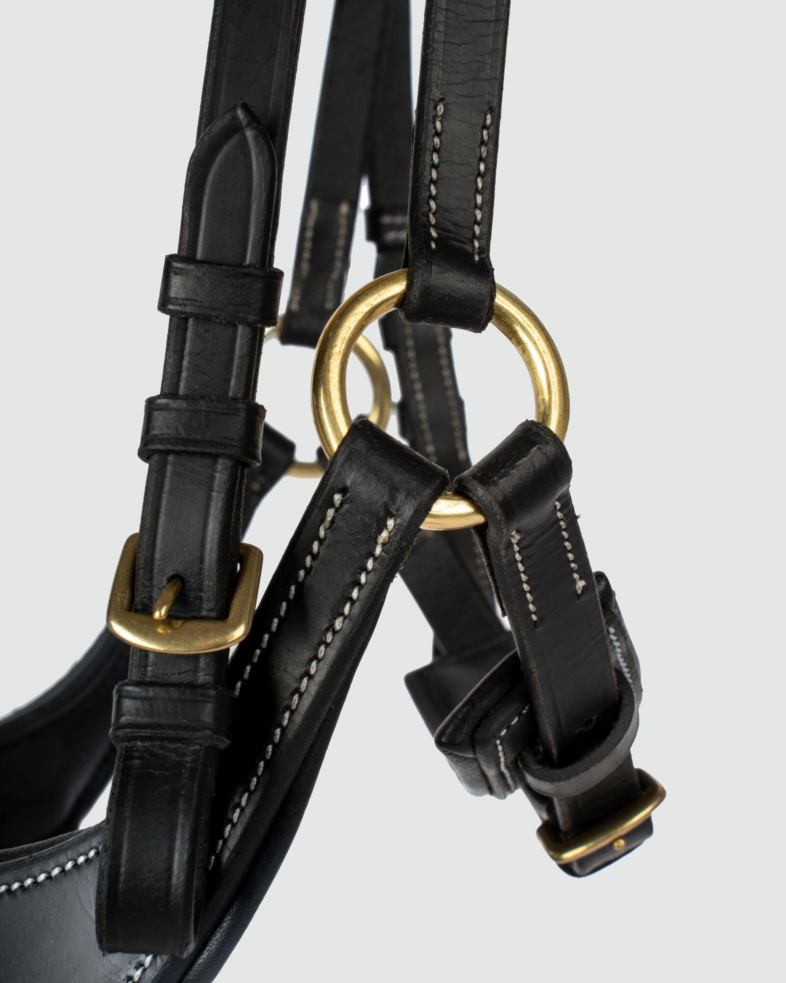 Briglie da equitazione QHP Devi 6/7
