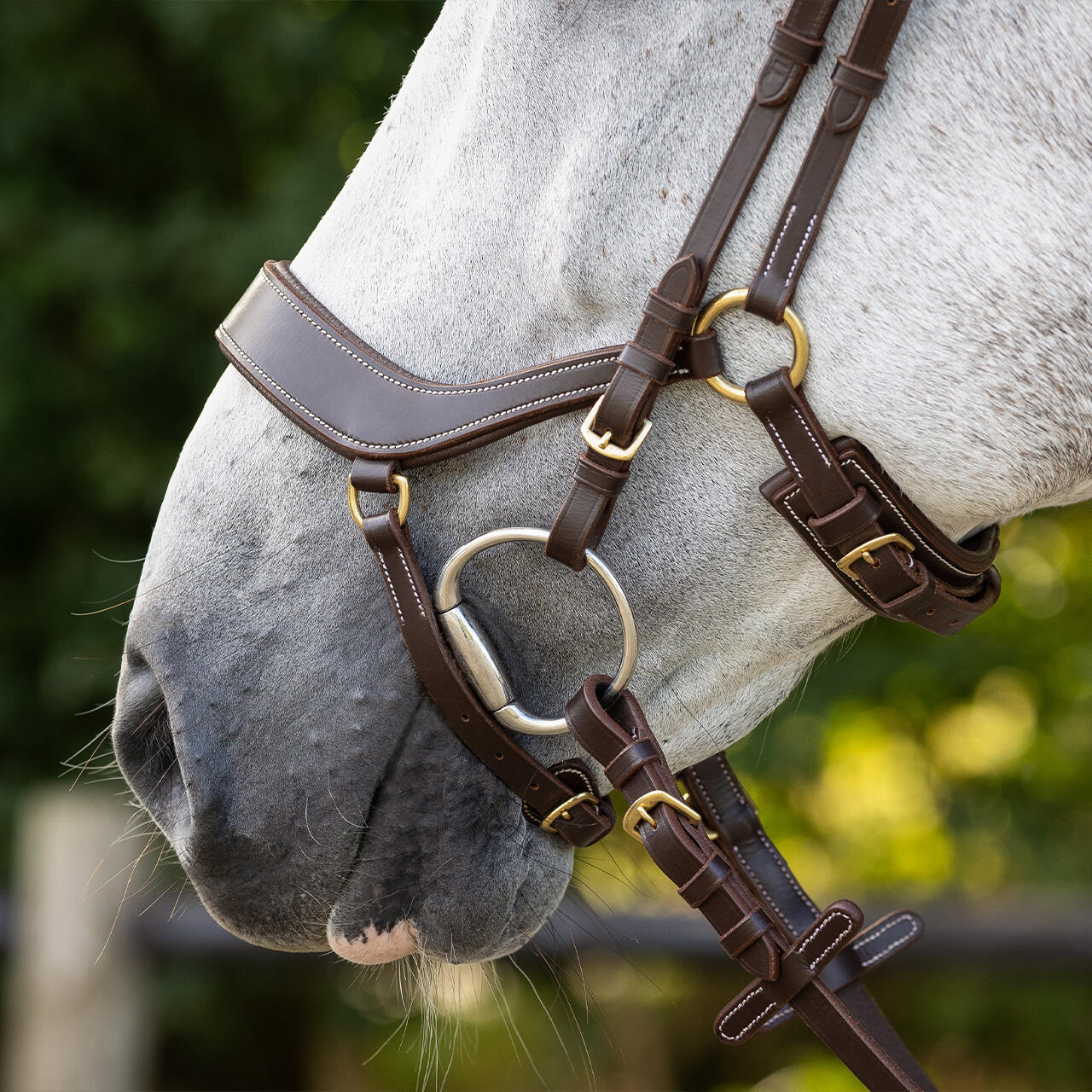 Bridon équitation QHP Devi 2/7
