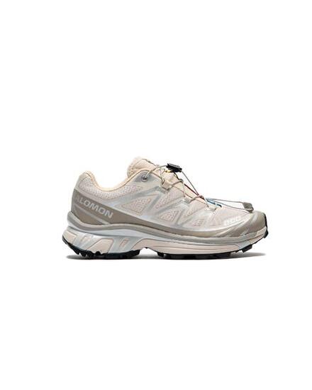 Salomon XT-6 Rainy Day Paloma Ftw Silver