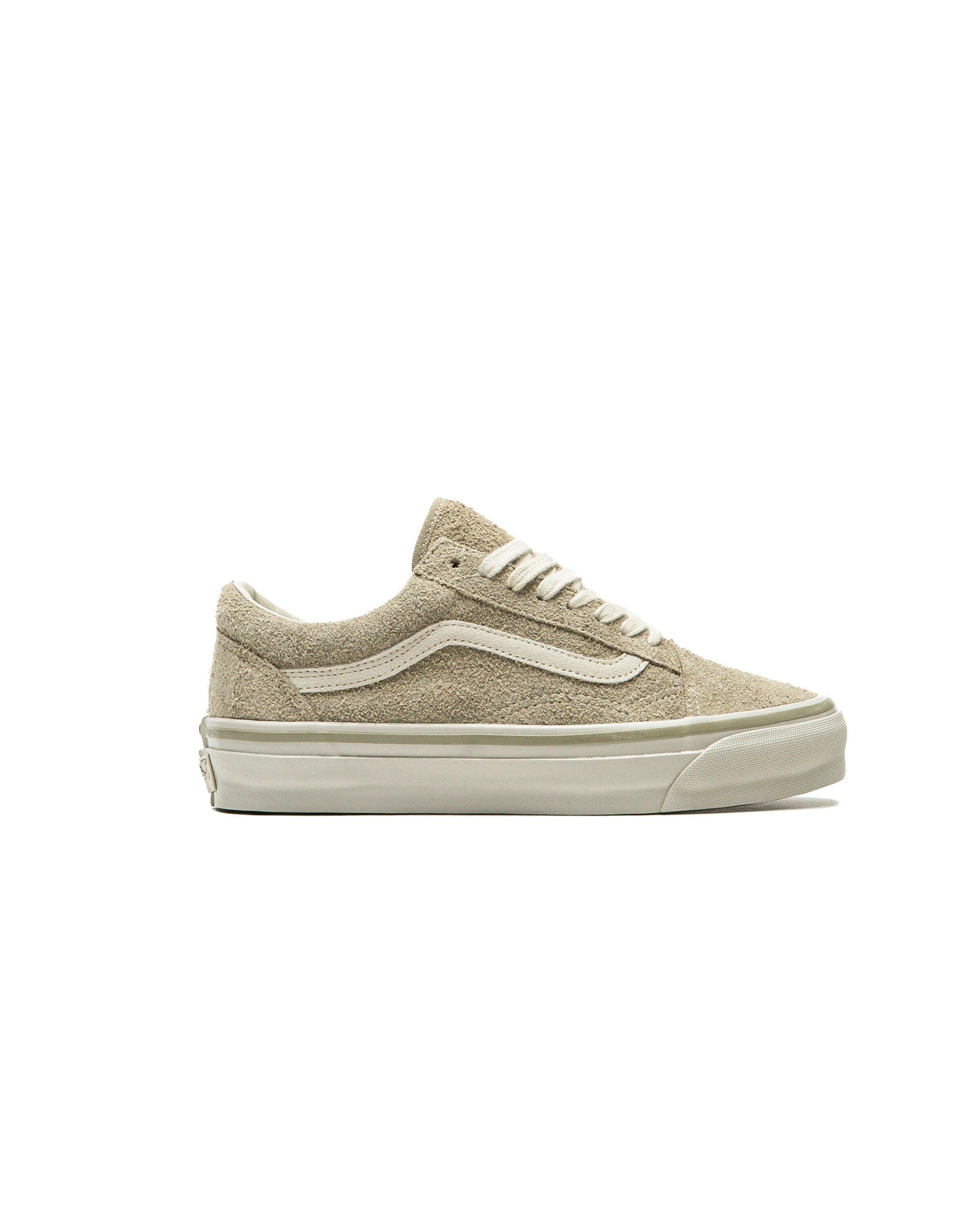 VANS picture