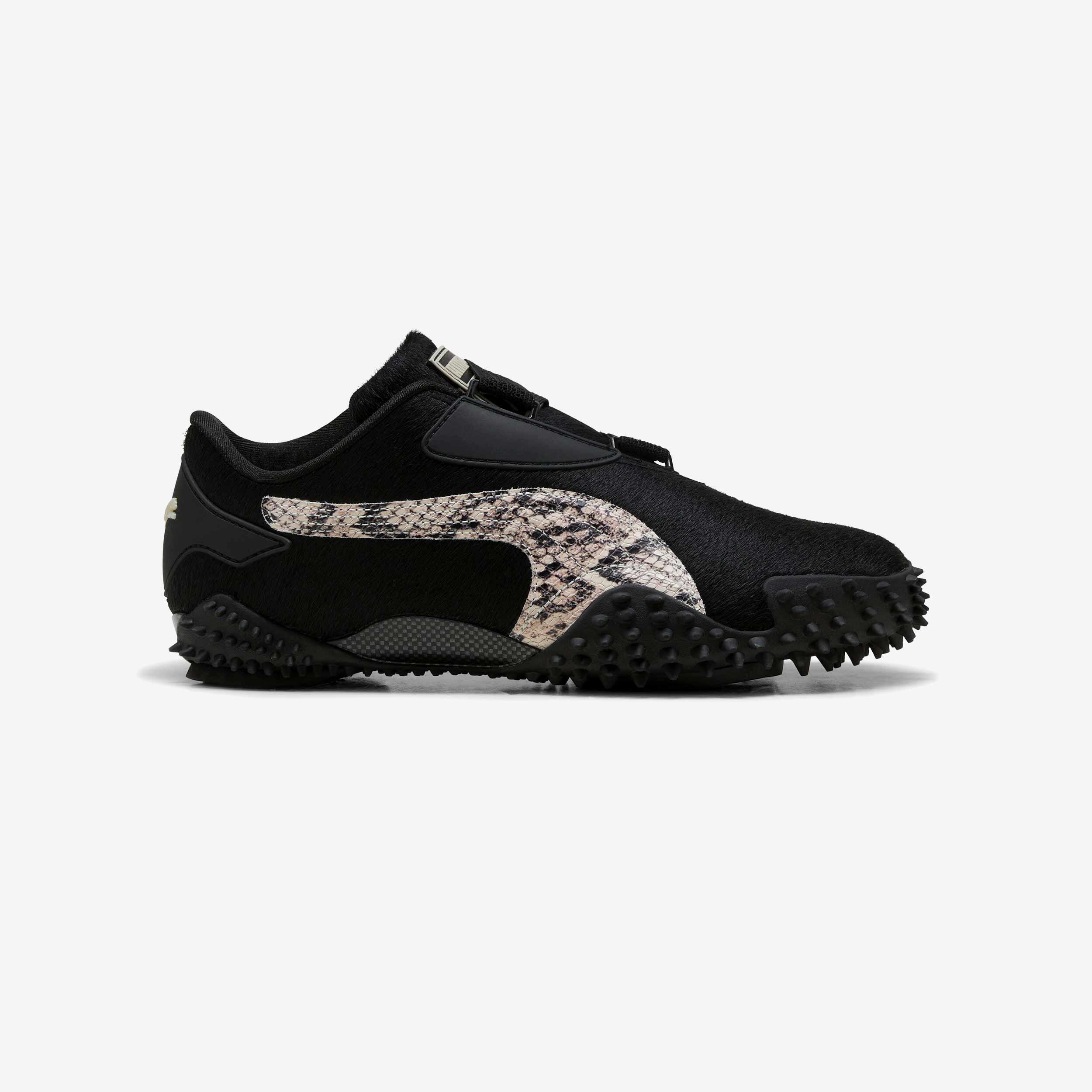 PUMA picture