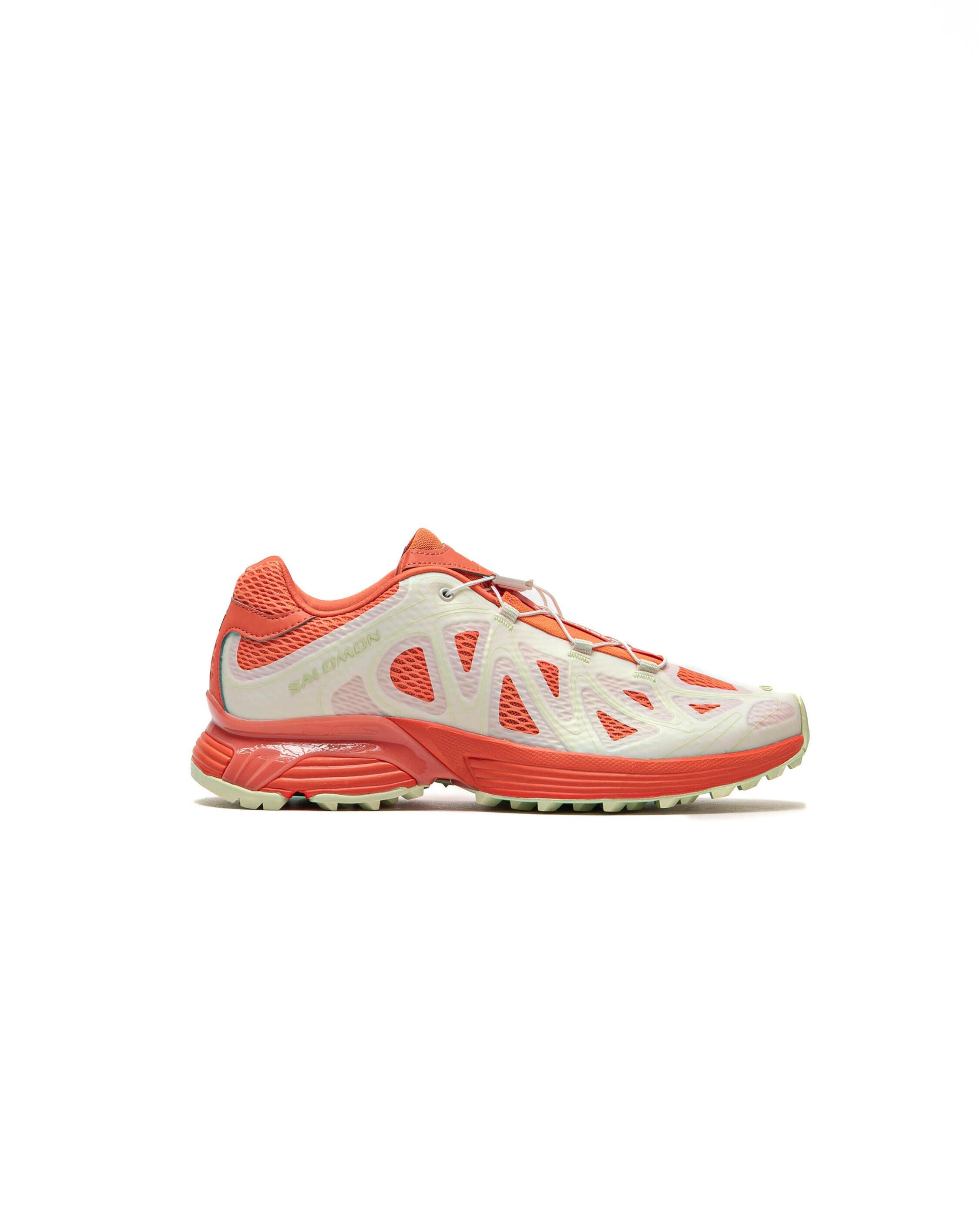 SALOMON picture