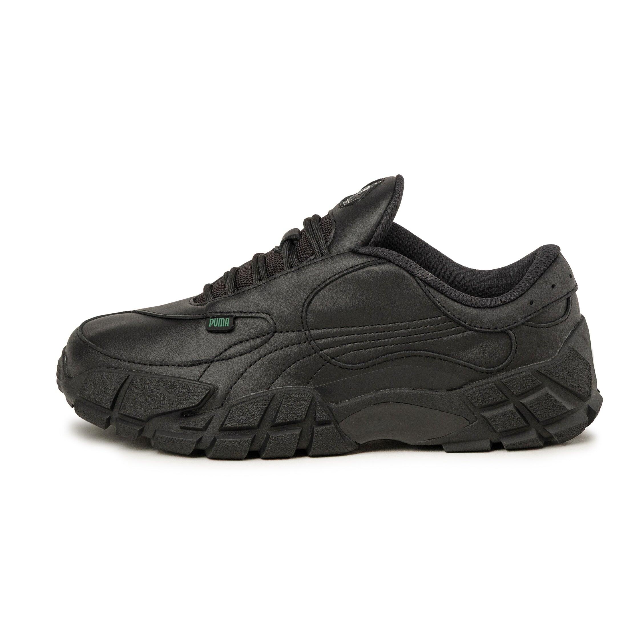 PUMA picture