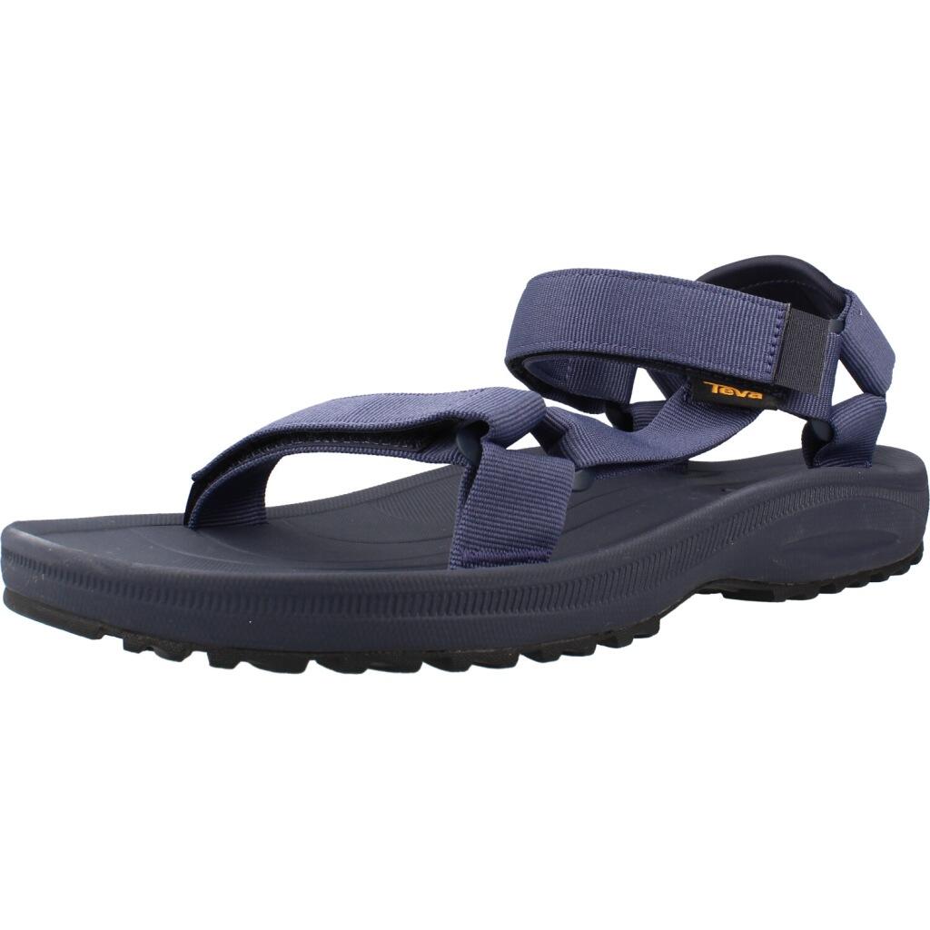 TEVA picture