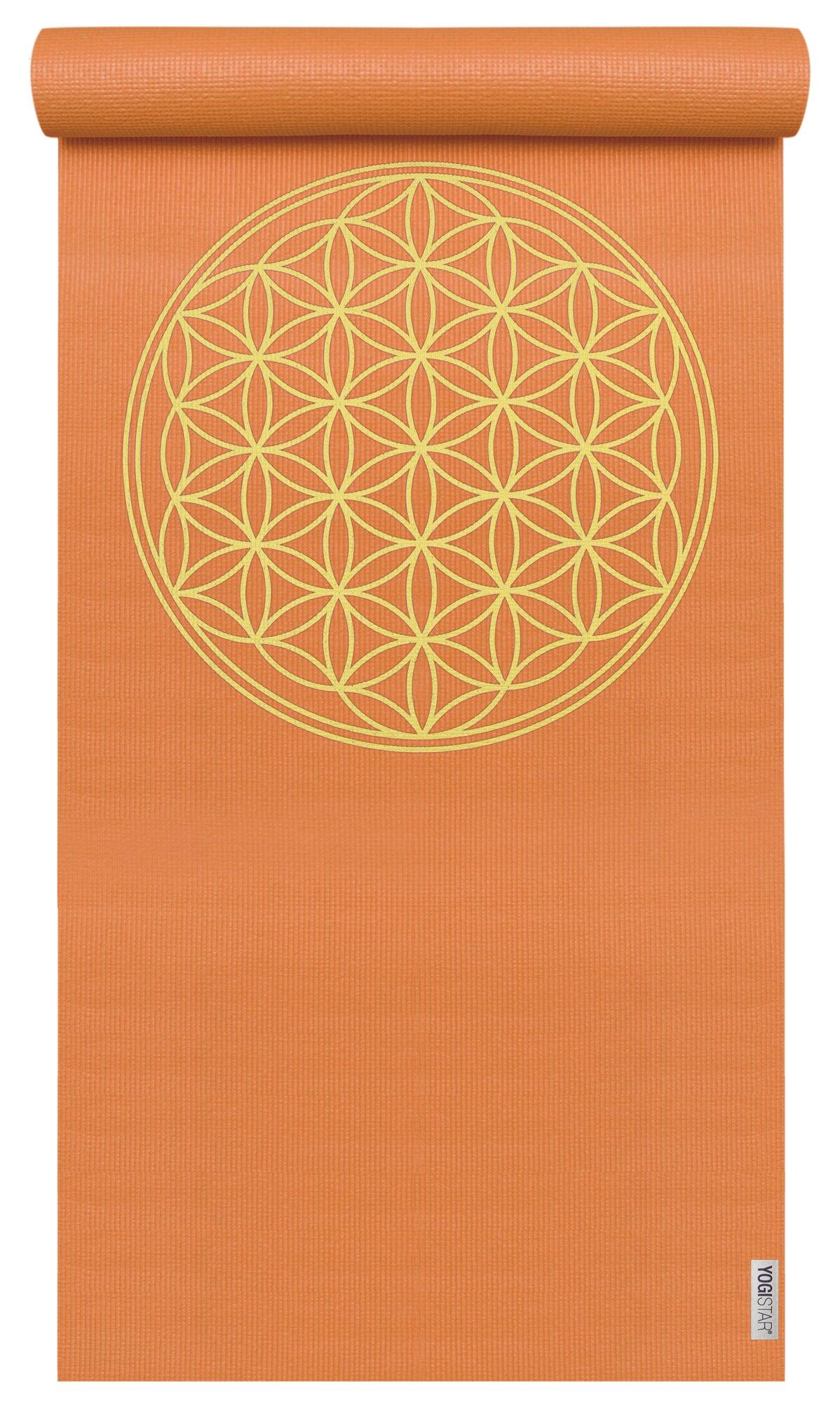 YOGISTAR picture