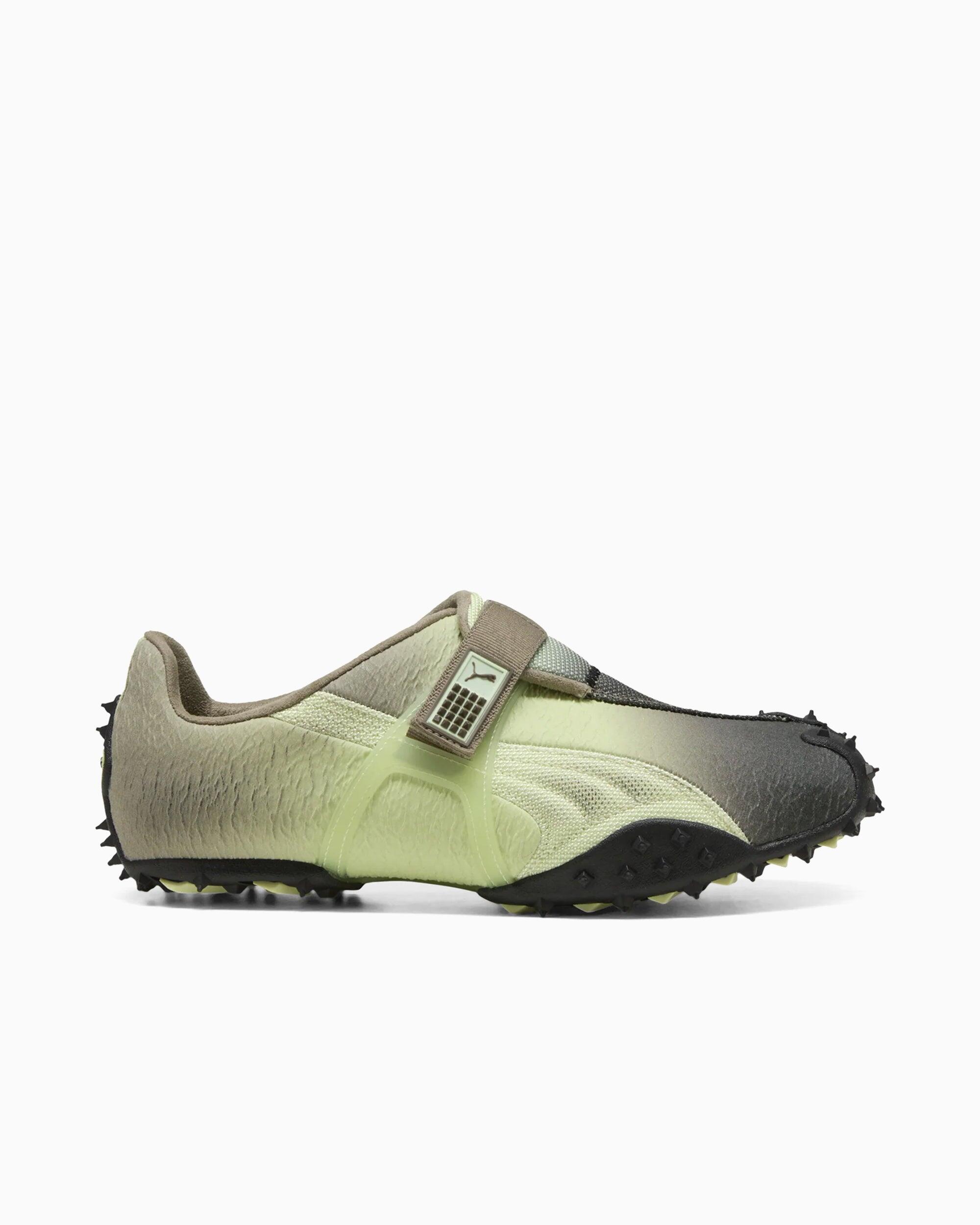 PUMA picture