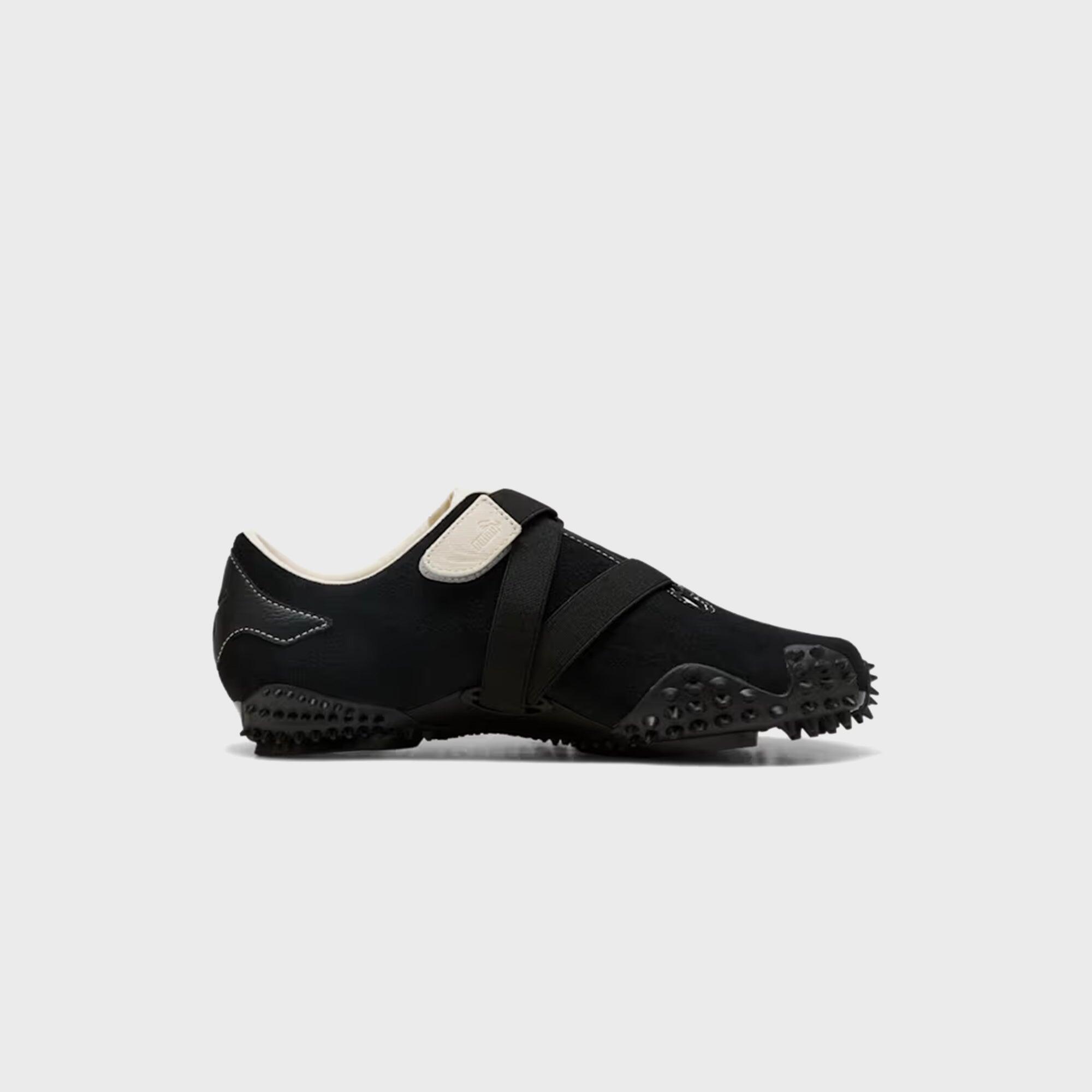 PUMA picture
